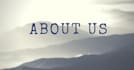 write an about us page
