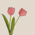 make a great illustration for you