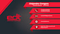 do a attractive and professional business cards