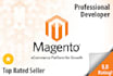 developed magento 2 store, customization and maintenance