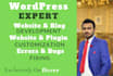 design professional and responsive wordpress website