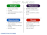 do a professional swot analysis
