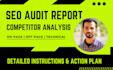 provide expert seo audit report and action plan to boost ranking