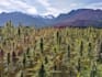 write articles about the benefits of hemp