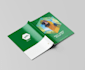 design professional flyers, corporate booklet, annual report