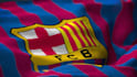 create a 100 percent realistic waving flag of your logo