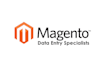 do magento data entry  ll specialist ll