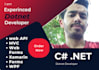 dot net framework or dot net core developer