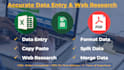 do accurate data entry, web research, and copy paste in excel or google sheets