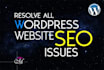 fix wordpress website SEO issues
