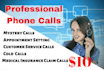 make professional phone calls for you