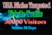 drive usa niche,targeted website,traffic,visitors