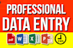 do data entry, web research, copy paste and excel work