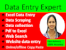 do data entry excel, copy paste and web search