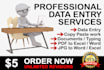 do excel data entry, convert PDF, web research, typing