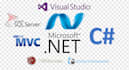 build debug fix custom asp net website