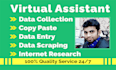 do data entry, web research, data cleaning, scraping, copy paste, PDF to excel