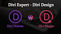 do custom theme and plugin development in wordpress