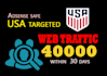 drive USA targeted adsense safe web traffic