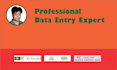 do data entry service