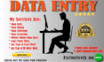 do online and offline data entry work