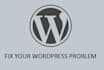 fix your wordpress problem, error, plugins or wp issues