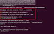 do penetration testing and IT security