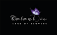 design stylish signature logo