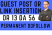 guest post or SEO dofollow backlink on web design business site