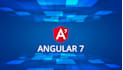 develop angular functional and complex web application