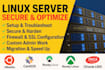 setup or fix linux vps, nginx, apache, SSL, cpanel, plesk, whm, dns, SMTP, mysql