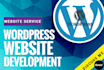 develop a professional modern wordpress website for your business