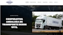 develop and design the professional wordpress website