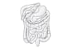 do medical and scientific line art illustration