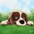 draw awesome sketch of your pet