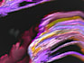 make visual art from songs