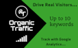 send keyword targeted organic traffic from uk and usa