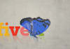 make this BEAUTIFUL butterfly bring your logo and url