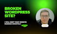 maintain, update and fix your wordpress website