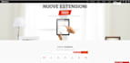 provide web development services starting