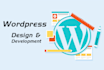 design a professional wordpress website