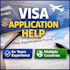 provide visa consultation and application guidance