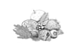 draw digital vintage drawing and hand drawn illustration