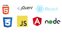 develop web app in react angular nodejs