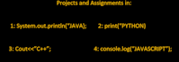 do your programming tasks in java, c, python and js