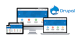 build professional and ecommerce website using drupal