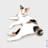 draw your cute pets