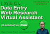 do data entry, excel work, google sheet data