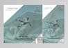 make custom poster banner design