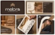 do brand logo design and branding kit with brand identity